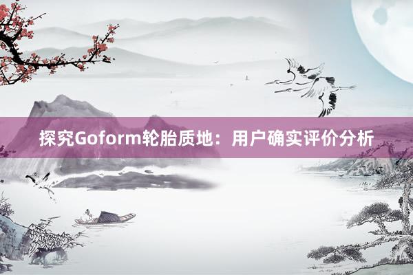 探究Goform轮胎质地：用户确实评价分析